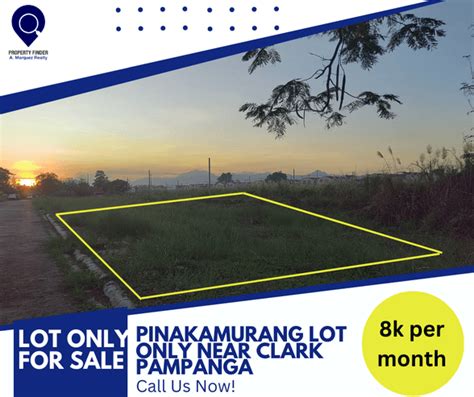 Properties For Sale in Clark, Mabalacat .